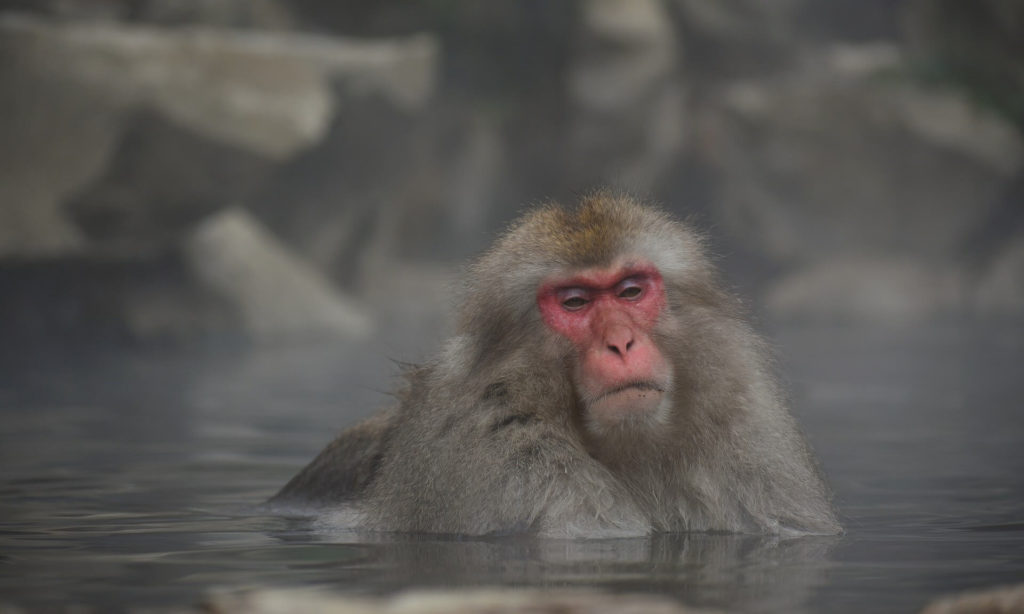 onsen